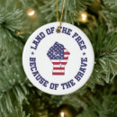 Search for brave christmas tree decorations Usa