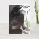Search for funny tabby cat cards Pets