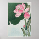 Search for lotus flower posters Blooming