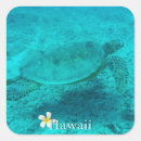 Search for hawaiian turtle stickers Honu