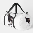 Search for alpine bags Winter