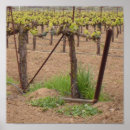 Search for winery posters Grape