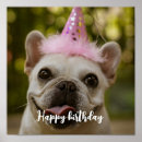 Search for dog dad posters Pets