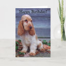 Search for cocker spaniel birthday cards pet