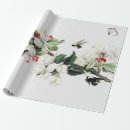 Search for blosson Blossom