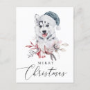 Search for funny husky cards Dog