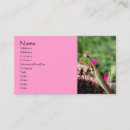 Search for prayed photography Nature