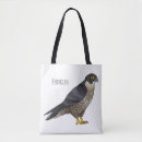Search for falcone bags Raptor