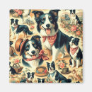 Search for colly magnets Dogs