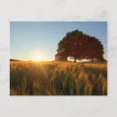 Search for cloud background postcards Blue
