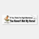 Search for pony bumper stickers Horse