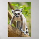 Search for crawling posters Animal