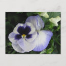 Search for postage photography Floral
