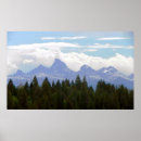 Search for teton posters Forest