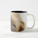 Search for close coffee mugs Purebred dog