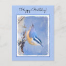 Search for nuthatch postcards Red breasted nuthatch
