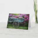 Search for wagon photography Nature