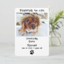 Search for rescued dog invitations Puppy
