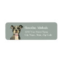 Search for eye return address labels Watercolor