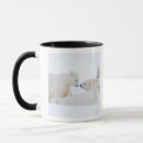 Search for ice ice baby mugs Animal