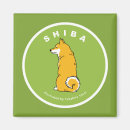 Search for ken magnets Shiba