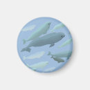 Search for beluga magnets Marine