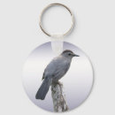 Search for avian round key rings Aviary
