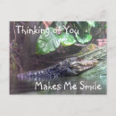 Search for grinning postcards Alligator