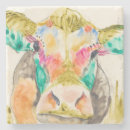 Search for cow coasters Animal