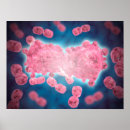 Search for cell posters Blue