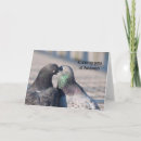 Search for pigeon cards Kissing