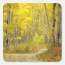 Search for solitude stickers Road