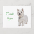 Search for white guy postcards Puppy