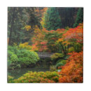 Search for japanese garden tiles Fall
