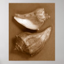 Search for sensual posters Nature