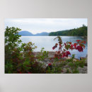 Search for red maple posters Fall