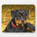 Search for dog breed electronics Black