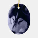 Search for siberian husky christmas tree decorations Photography
