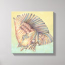 Search for seashells sea shells canvas prints Ocean