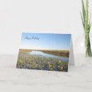 Search for marsh cards Nature
