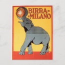 Search for grey elephant postcards Wildlife