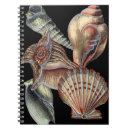 Search for ocean creature notebooks Sea life