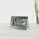 Search for rowing cards Wildlife