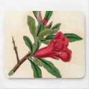 Search for vegetarians mouse mats Red