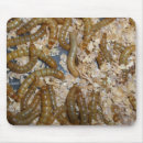 Search for worms mouse mats Bugs