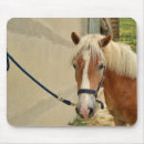 Search for mane mouse mats Pony