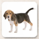 Search for adopt coasters Cute