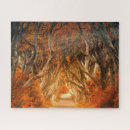Search for autumn forest puzzles Illustration