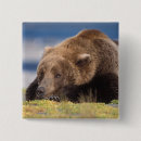 Search for grizzly badges North america