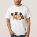 Search for pei tshirts Wrinkles